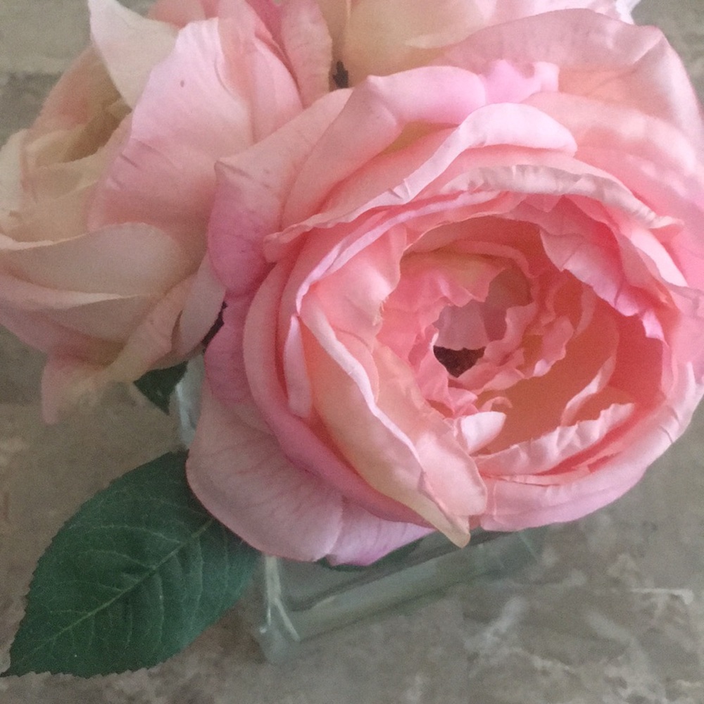 Meet your Posher, Irina